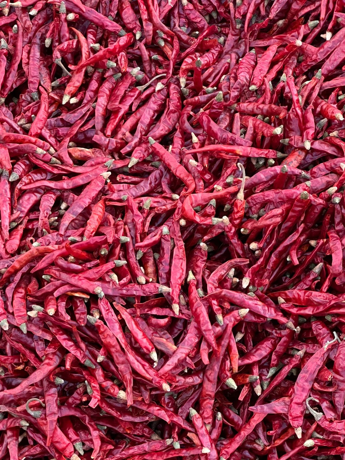 105832-88541-1104135674525783