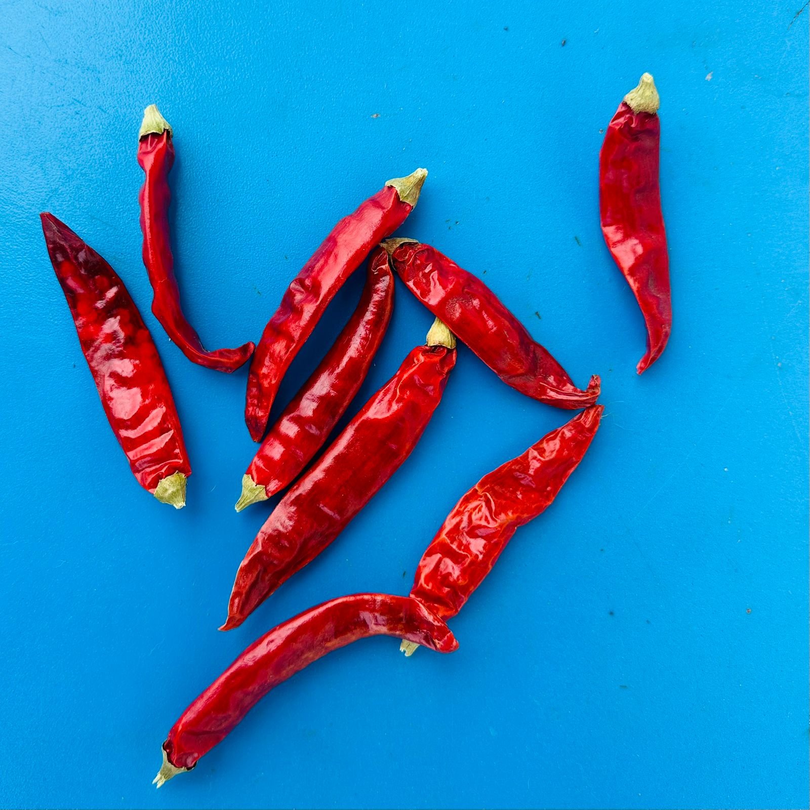 105832-88541-1109376563924482