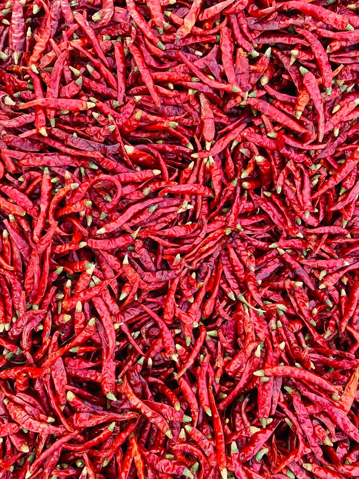 105832-88541-1124740445378200