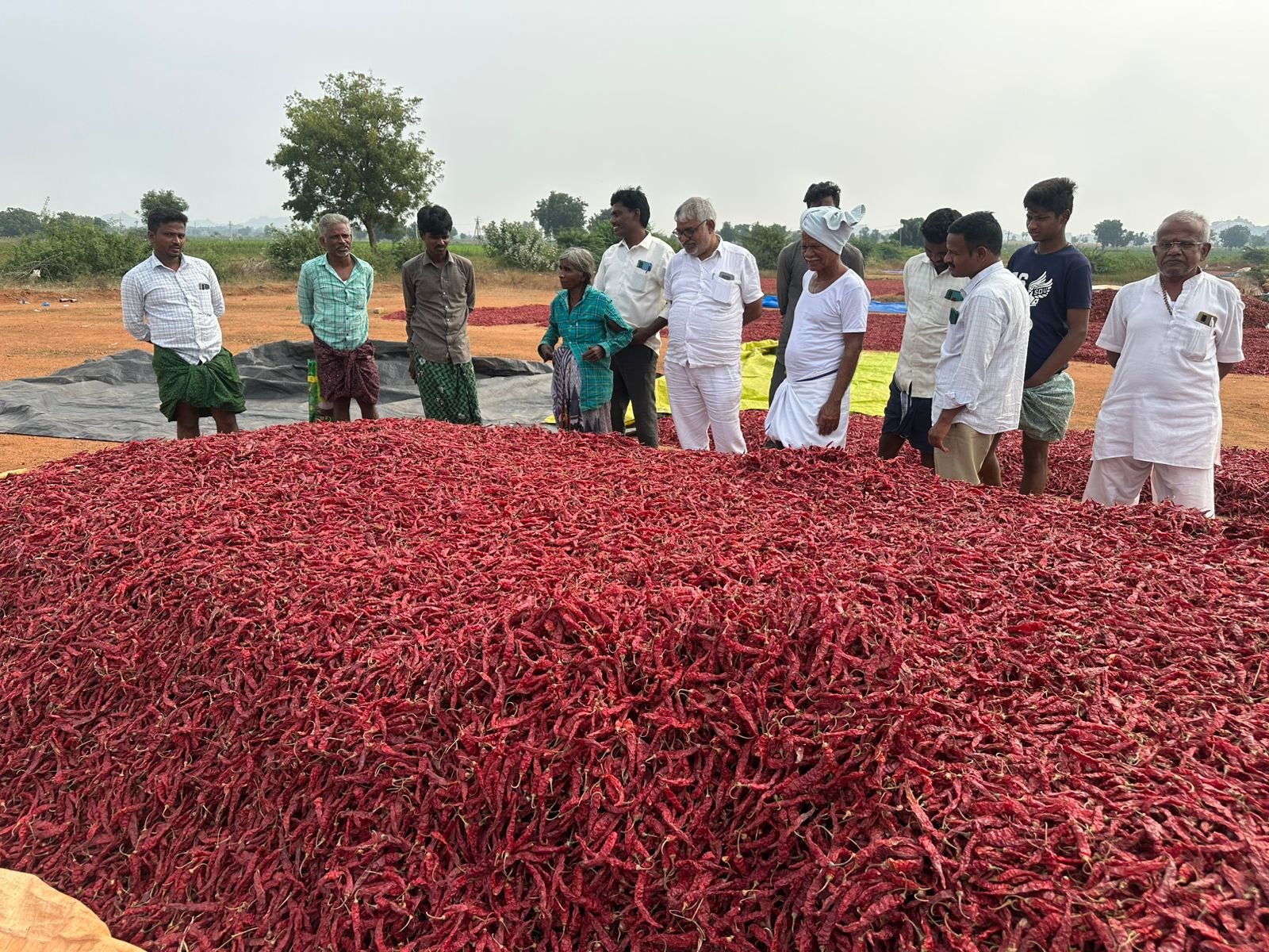 105832-88541-1516954445658910