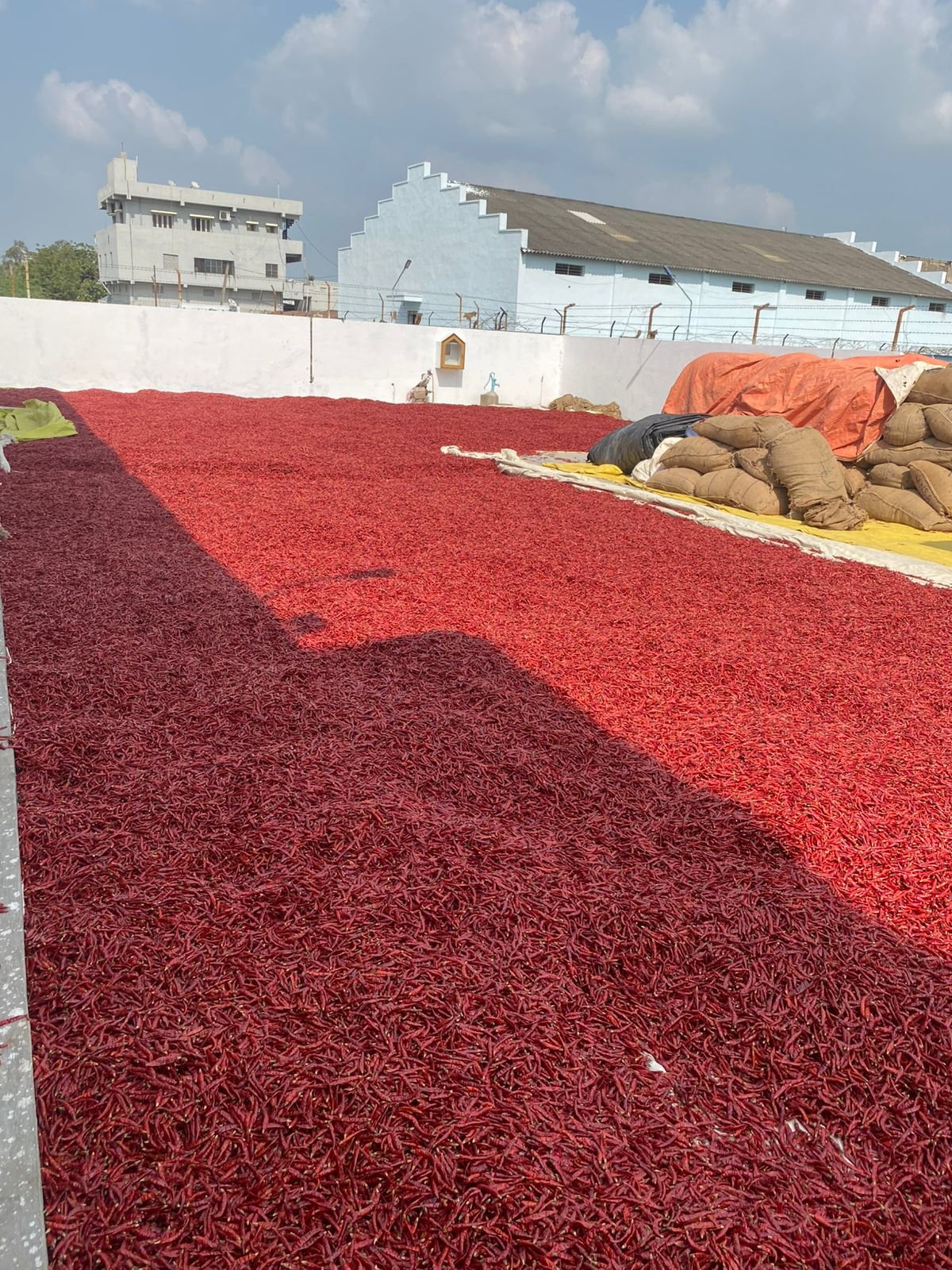 105832-88541-1754026572125387