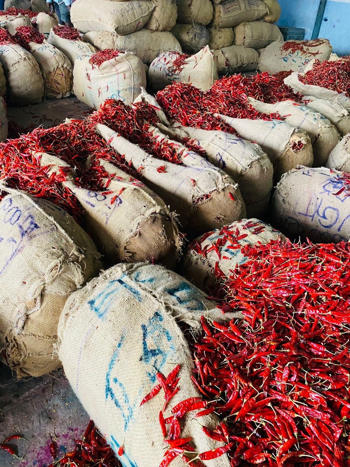 105832-88541-440701472443669