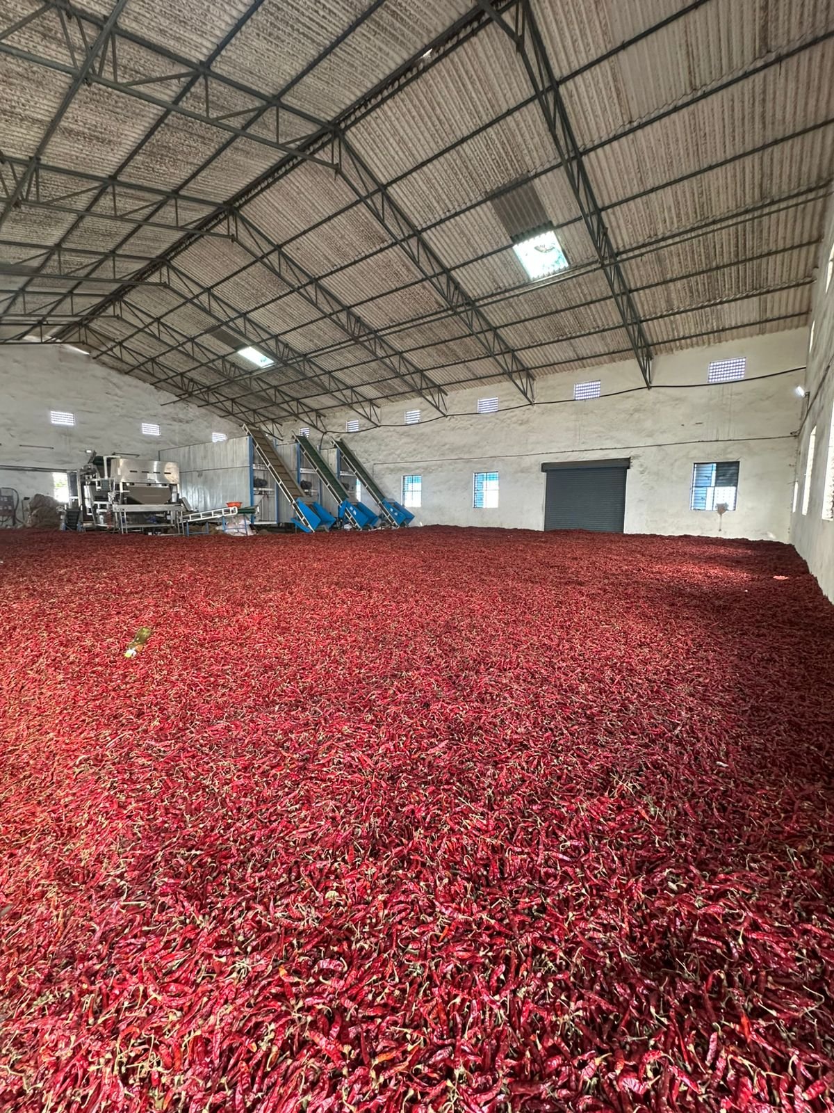 105832-88541-477256208340111