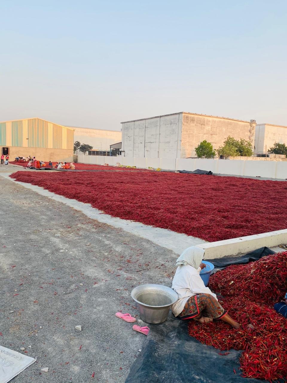 WhatsApp Image 2025-01-11 at 14.08.52_b81bfa56