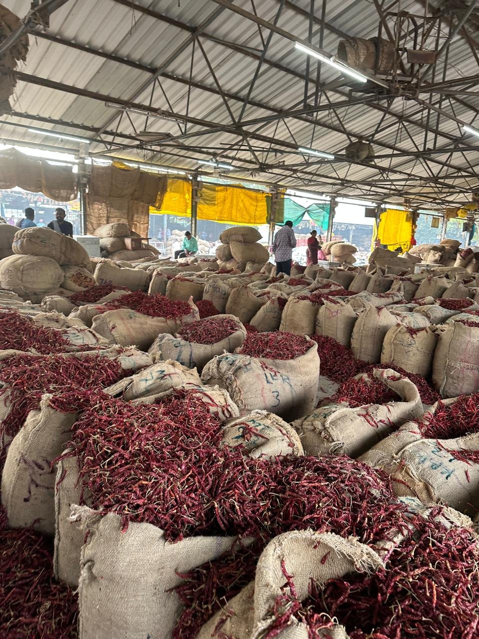 WhatsApp Image 2025-01-11 at 14.08.53_c7c635e9