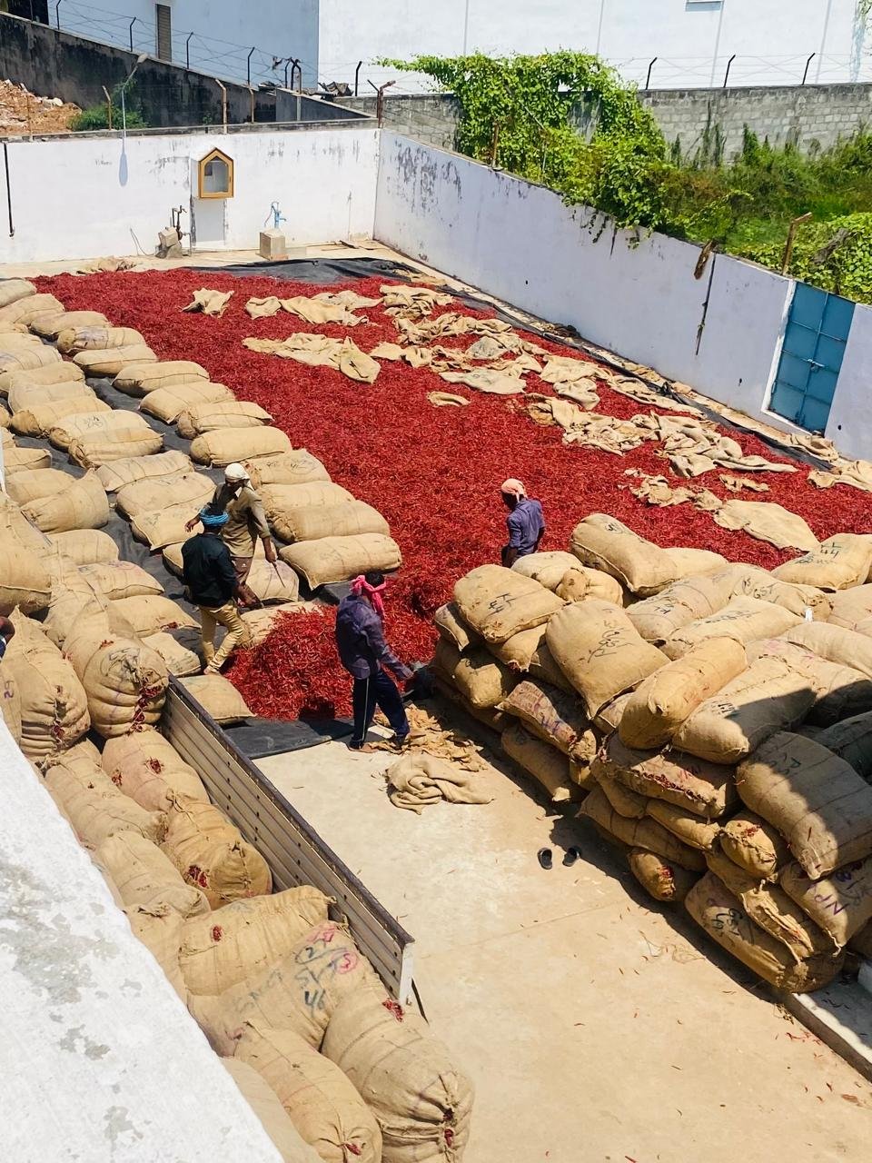 WhatsApp Image 2025-01-11 at 14.08.53_d3514a66