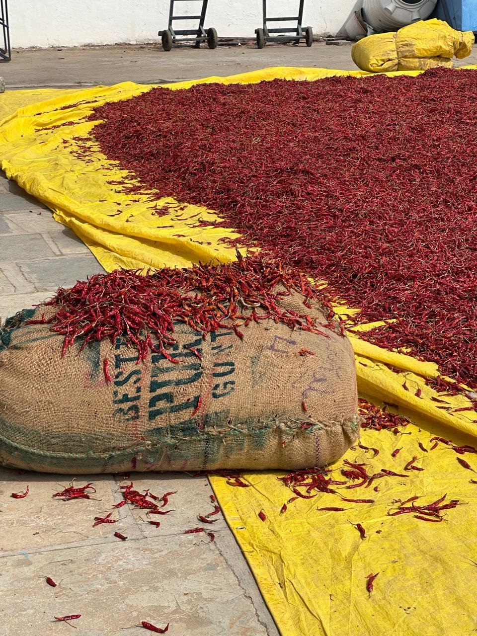 WhatsApp Image 2025-01-11 at 14.08.53_d7cca4eb