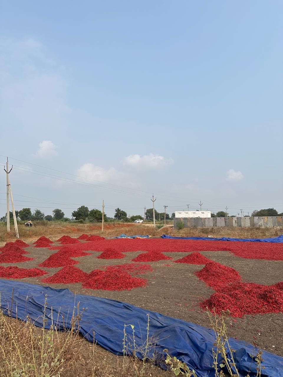 WhatsApp Image 2025-01-11 at 14.08.54_dcab75ea