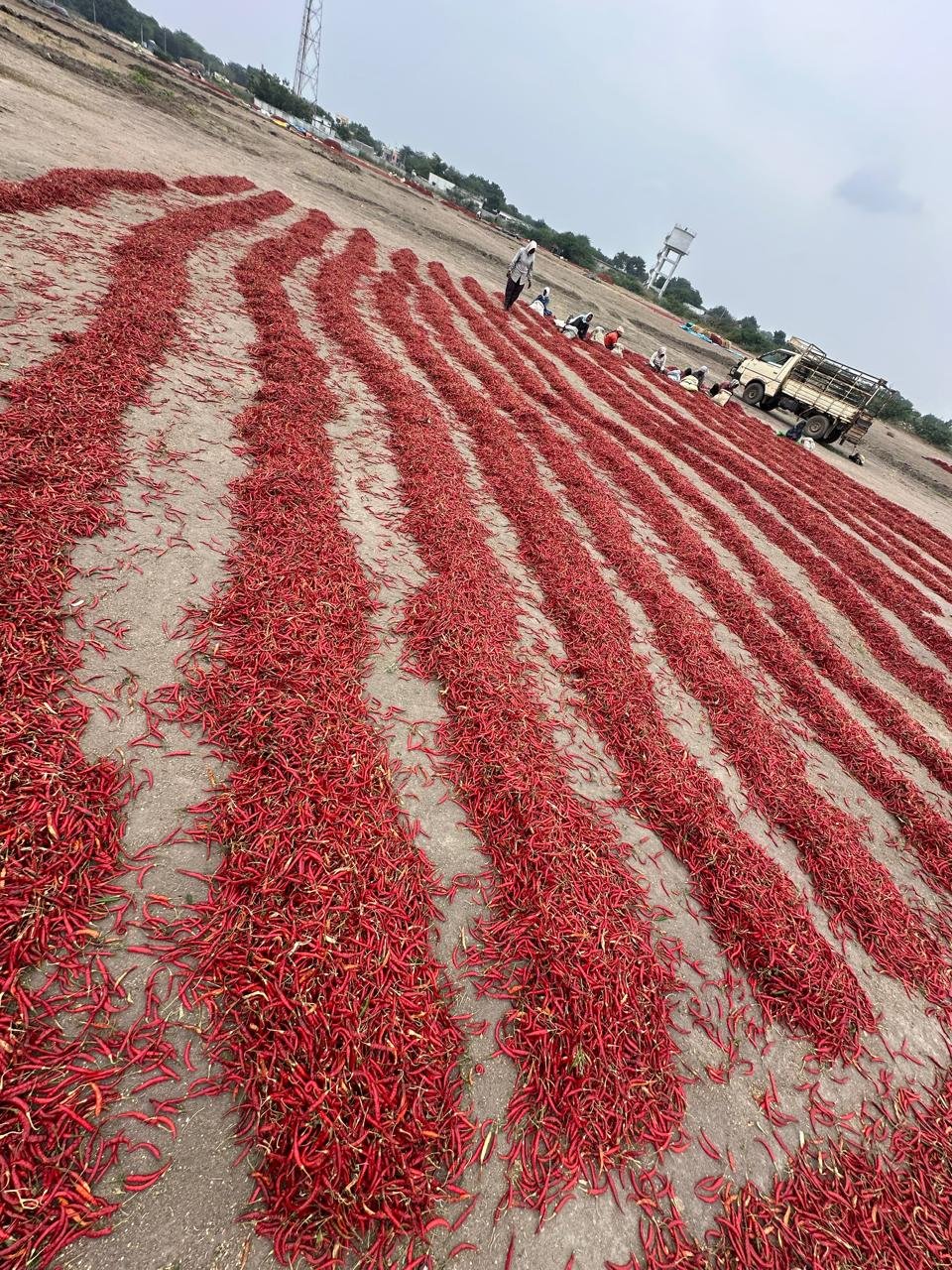 WhatsApp Image 2025-01-11 at 14.08.55_63725dc5