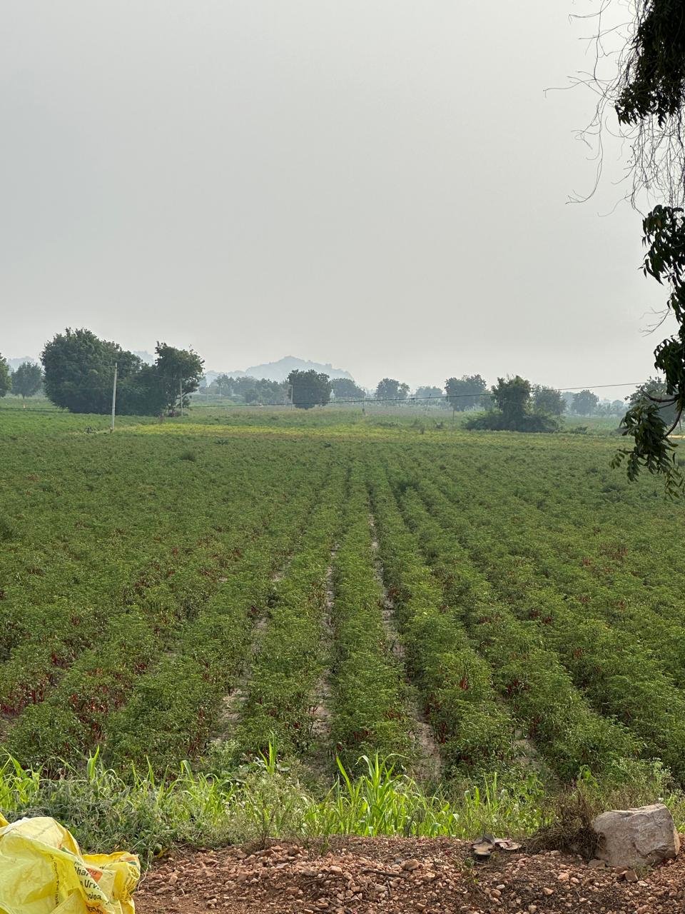 WhatsApp Image 2025-01-11 at 14.08.55_fe1ac12f