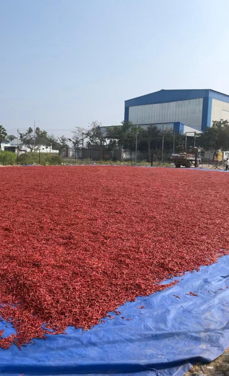 WhatsApp Image 2025-01-11 at 14.08.56_54c8fec9