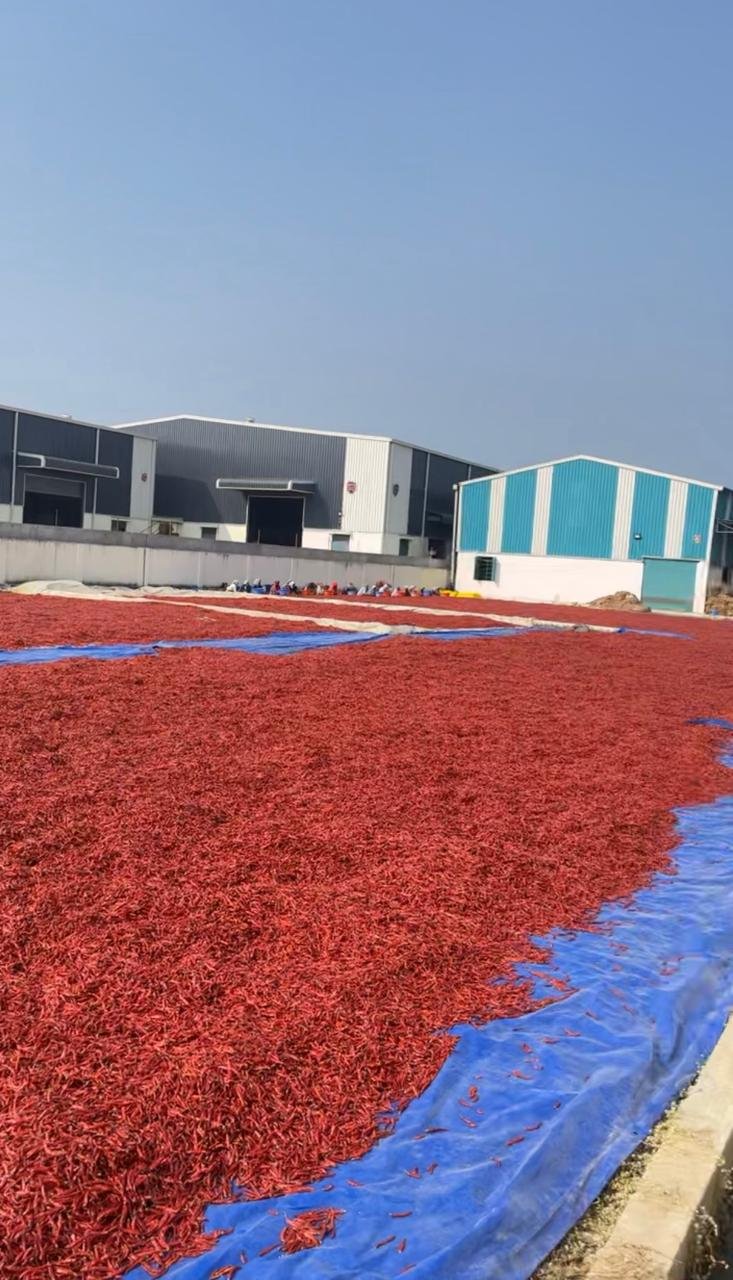 WhatsApp Image 2025-01-11 at 14.08.56_610bfc2a