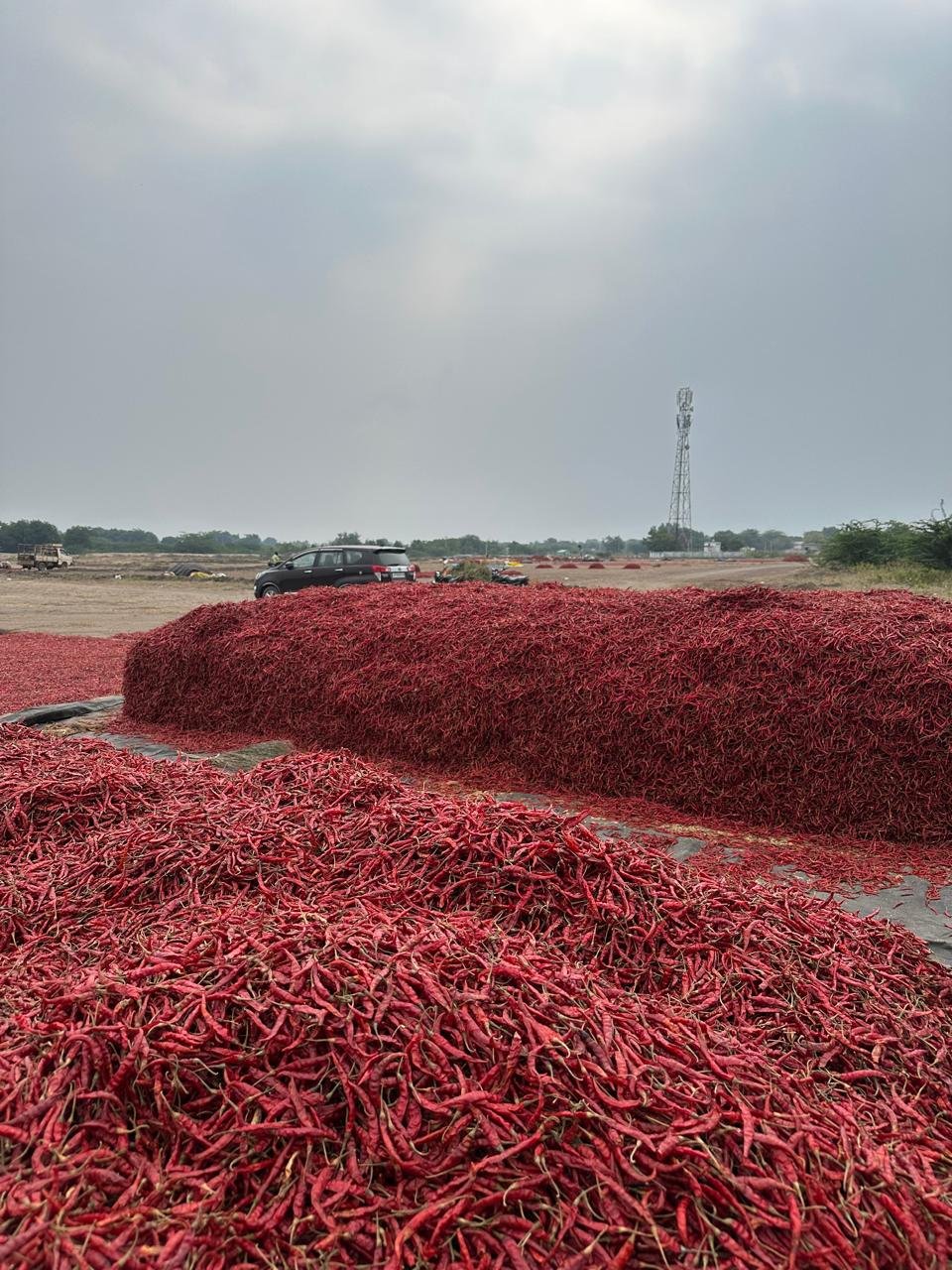 WhatsApp Image 2025-01-11 at 14.08.56_8ac6c970